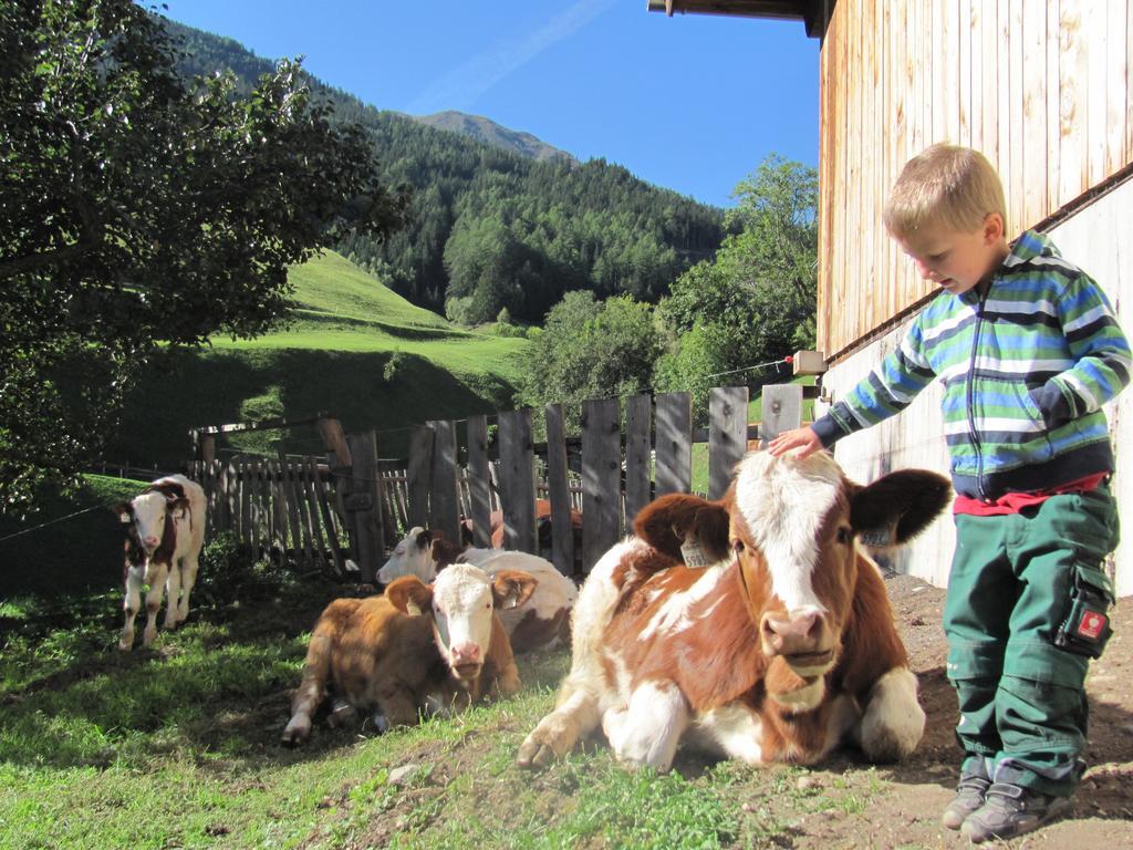 Lampeterhof Διαμέρισμα Matrei in Osttirol Εξωτερικό φωτογραφία
