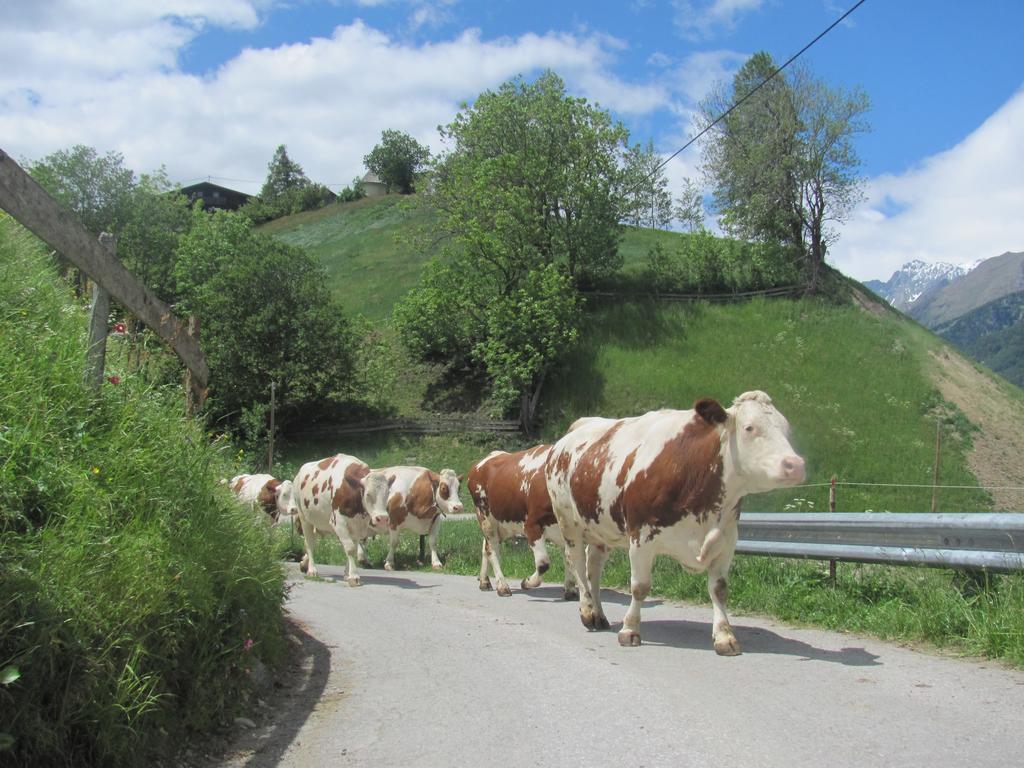 Lampeterhof Διαμέρισμα Matrei in Osttirol Εξωτερικό φωτογραφία