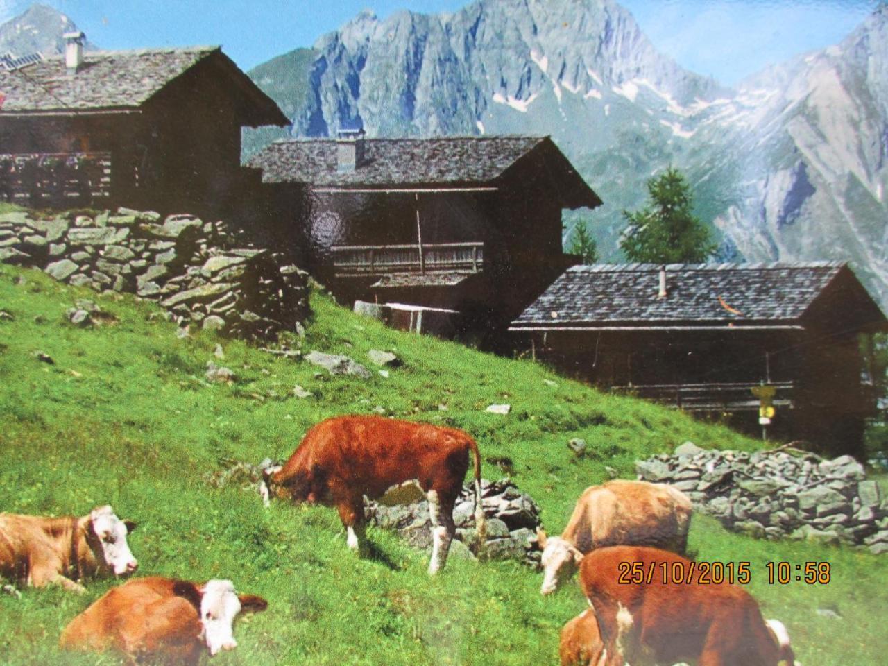 Lampeterhof Διαμέρισμα Matrei in Osttirol Εξωτερικό φωτογραφία
